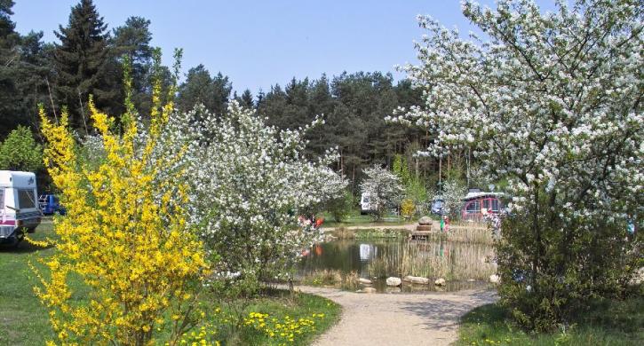 Camping in der Natur Südsee-Camp