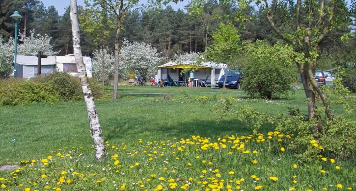 Stellplatz Camping Südsee-Camp