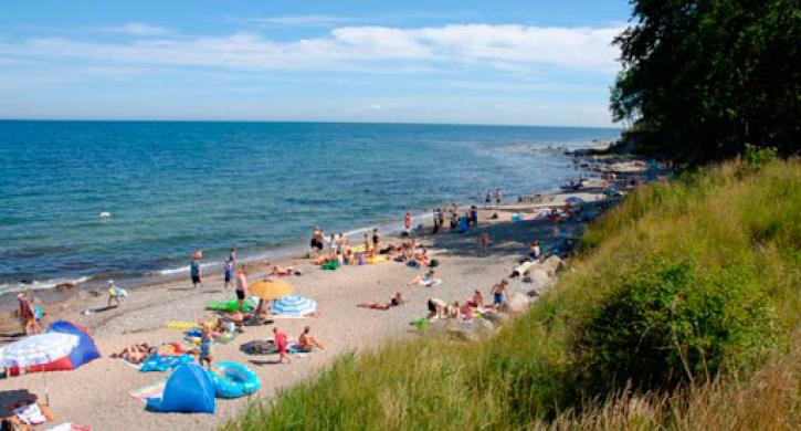 Campingplatz Ostsee Strand Insel Fehmarn