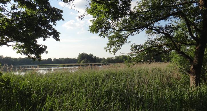 Umgebung Olbasee