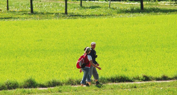 Wandern Fränkische Schweiz