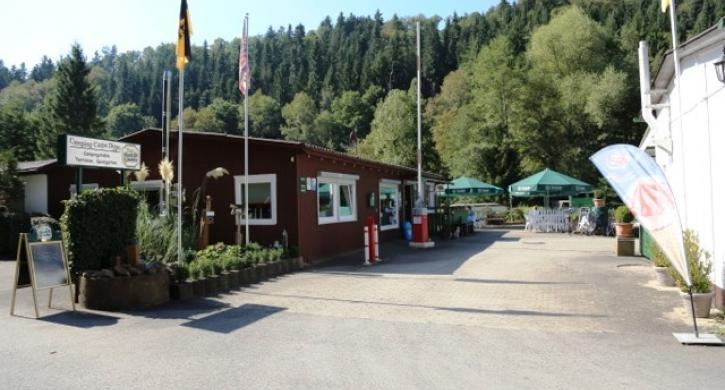 Carpe Diem Rezeption