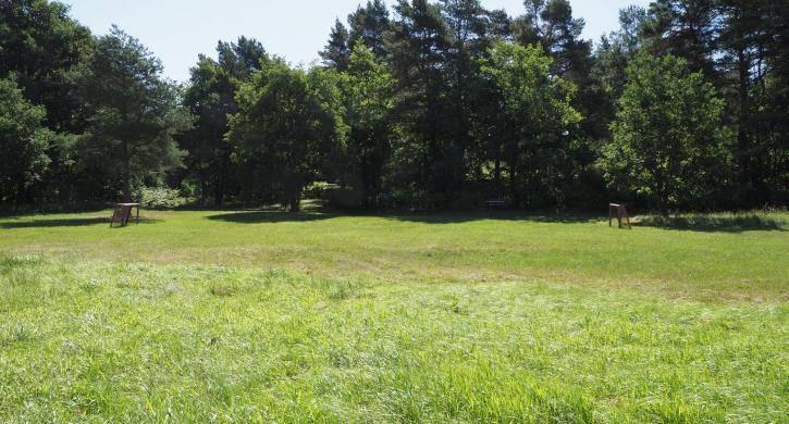 Osterfeuer- und Spielwiese